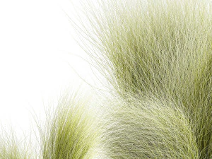 Beautiful Bushes and Stipa Feather Grass flower pot for decoration 1287 3D Model