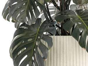 Beautiful Monstera bushes in a flower pot for decoration 1288 3D Model