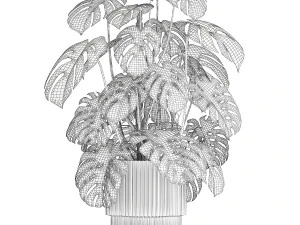 Beautiful Monstera bushes in a flower pot for decoration 1288 3D Model