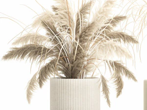 Lindos arbustos de capim-dos-pampas para decora&ccedil;&atilde;o em vasos 1289 Modelo 3D