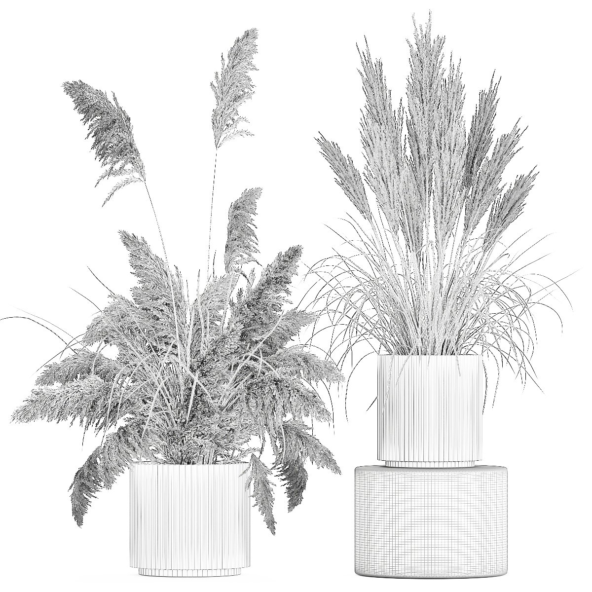 Beautiful bushes pampas grass for decoration in pots 1289 3D Model in Small  Plants 3DExport