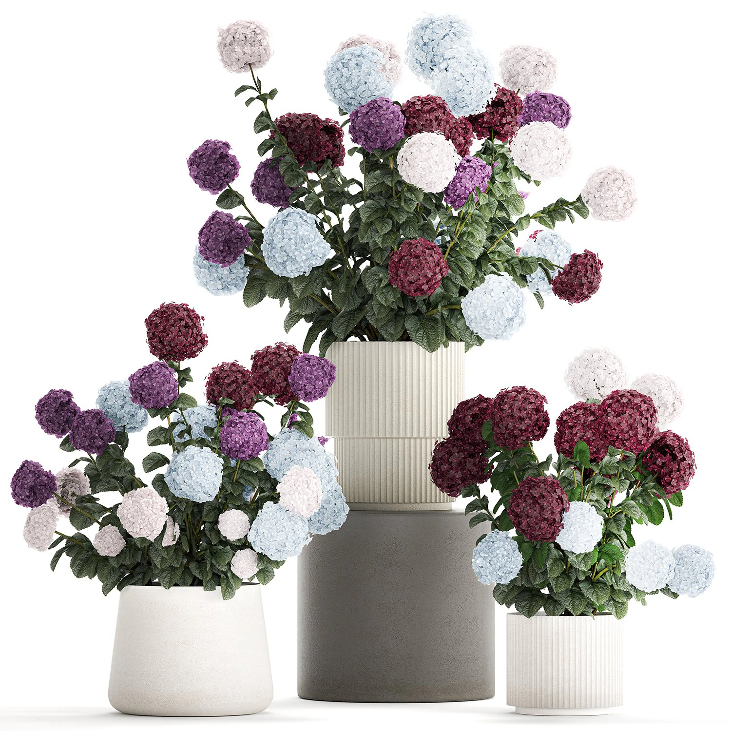 Beautiful hydrangea bushes in flower pots for decoration 1290 3D Model .c4d .max .obj .3ds .fbx .stl .blend