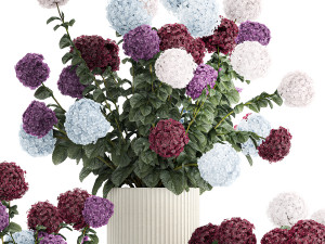 Beautiful hydrangea bushes in flower pots for decoration 1290 3Dモデル