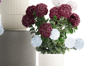 Beautiful hydrangea bushes in flower pots for decoration 1290 3Dモデル