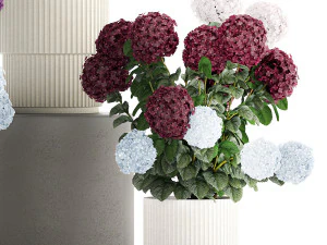 Beautiful hydrangea bushes in flower pots for decoration 1290 3D Model