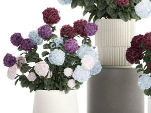 Beautiful hydrangea bushes in flower pots for decoration 1290 3D Model
