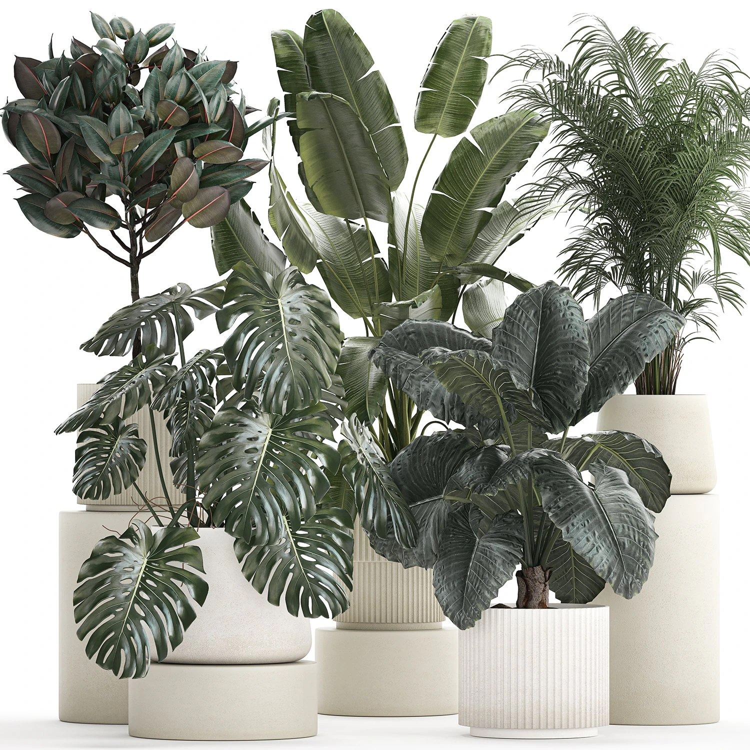 Set of beautiful plants in a flower pot for home 1293 3D Model .c4d .max .obj .3ds .fbx .stl .blend