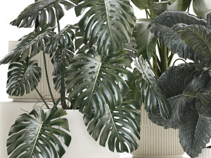 Set of beautiful plants in a flower pot for home 1293 Modèle 3D
