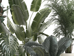 Set of beautiful plants in a flower pot for home 1293 Modèle 3D