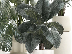 Set of beautiful plants in a flower pot for home 1293 3D Model
