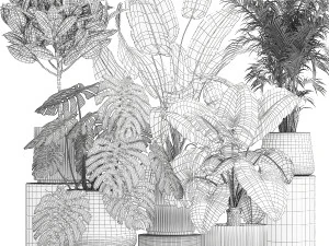 Set of beautiful plants in a flower pot for home 1293 3D Model