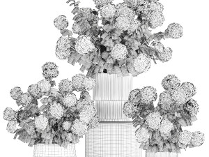 Set of beautiful plants Hydrangea in a flower pot for home 1294 Modèle 3D