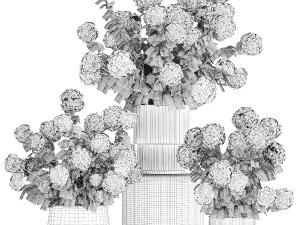 Set of beautiful plants Hydrangea in a flower pot for home 1294 3D Model