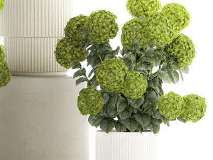 Beautiful Hydrangea bushes in a flower pot for home 1296 3D Модель