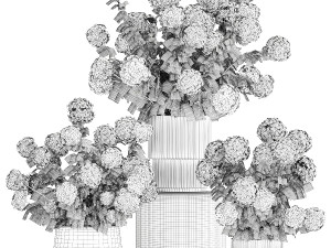 Beautiful Hydrangea bushes in a flower pot for home 1296 3D Модель