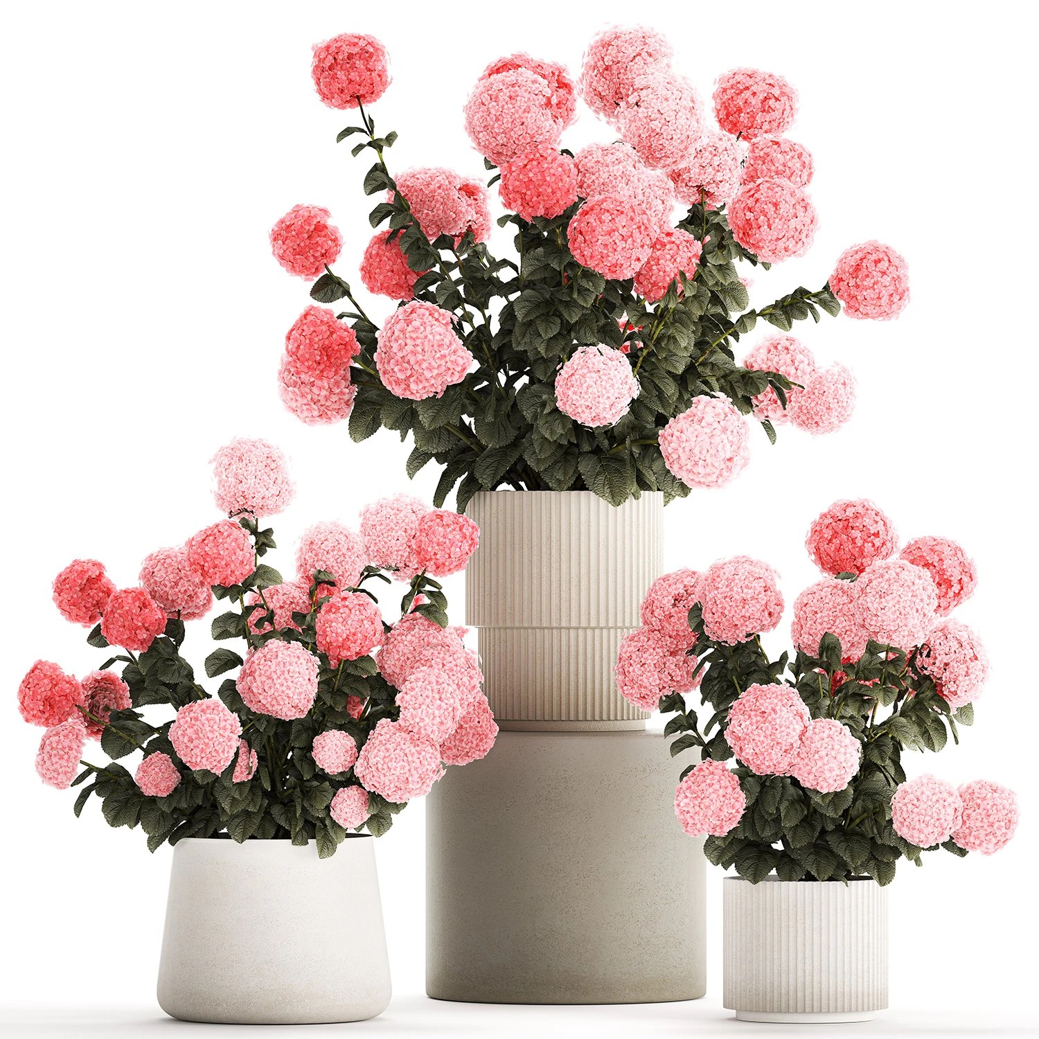 Bellissimi cespugli di ortensie rosa in un vaso di fiori per la casa Modello 3D .c4d .max .obj .3ds .fbx .stl .blend 