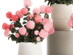 Bellissimi cespugli di ortensie rosa in un vaso di fiori per la casa Modello 3D