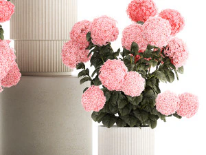 Bellissimi cespugli di ortensie rosa in un vaso di fiori per la casa Modello 3D