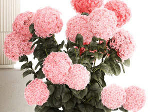 Bellissimi cespugli di ortensie rosa in un vaso di fiori per la casa Modello 3D
