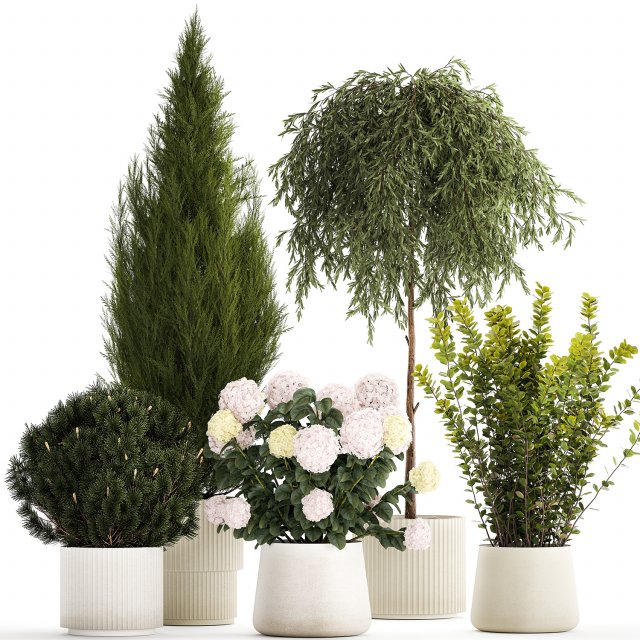 Beautiful plants in pots for indoors and outdoors 1298 Modelo 3D .c4d .max .obj .3ds .fbx .stl .blend 