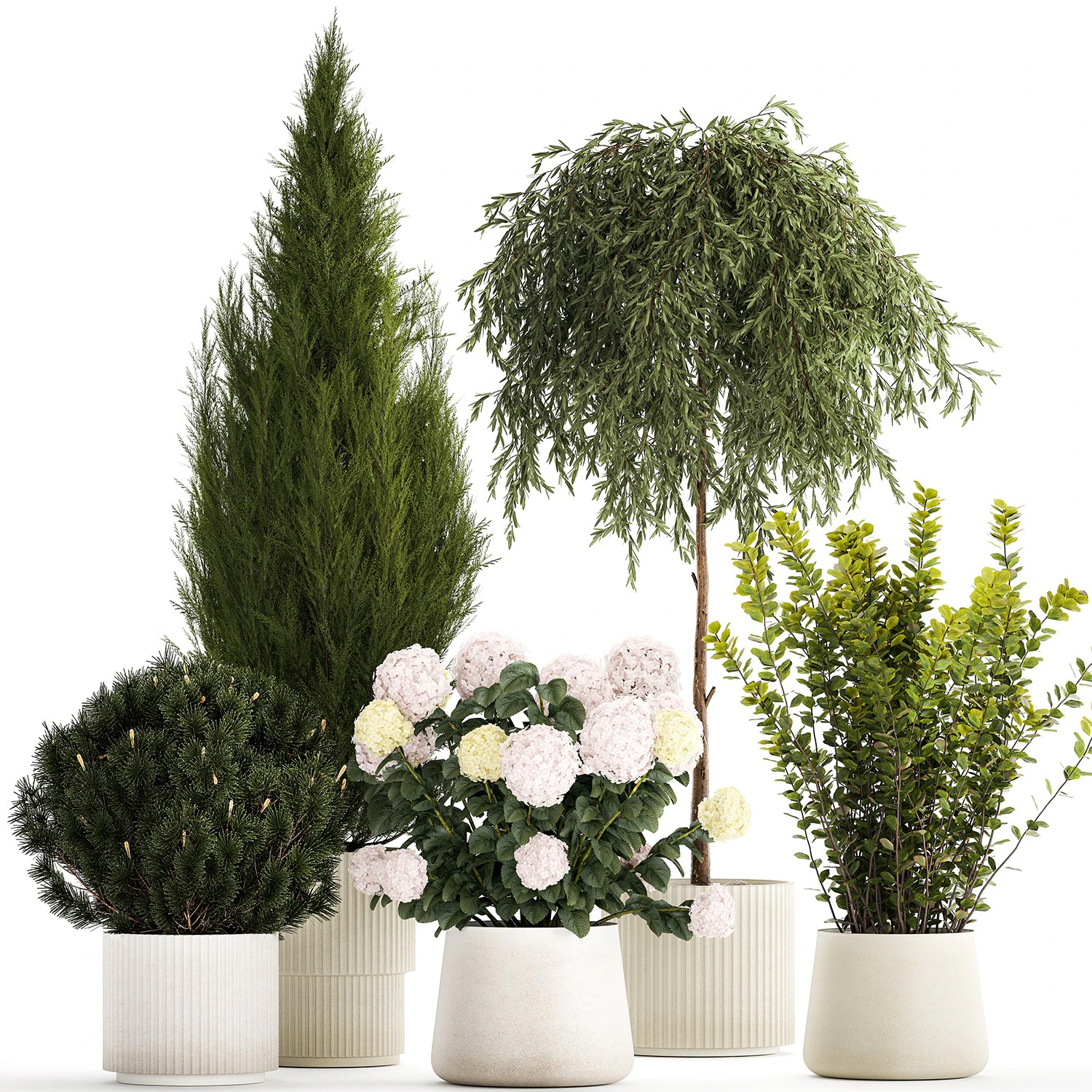 Beautiful plants in pots for indoors and outdoors 1298 3D Model .c4d .max .obj .3ds .fbx .stl .blend 