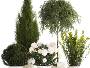 Lindas plantas em vasos para ambientes internos e externos 1298 Modelo 3D