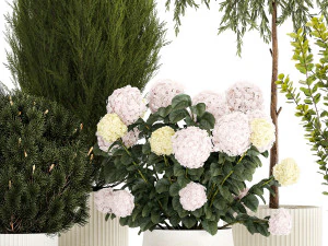 Beautiful plants in pots for indoors and outdoors 1298 3D Model