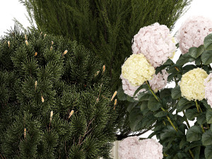 Beautiful plants in pots for indoors and outdoors 1298 Modelo 3D