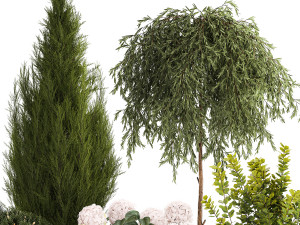Beautiful plants in pots for indoors and outdoors 1298 Modelo 3D
