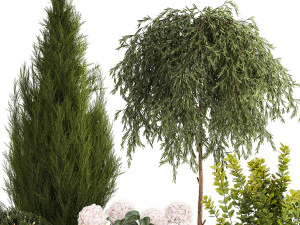 Beautiful plants in pots for indoors and outdoors 1298 3D Model