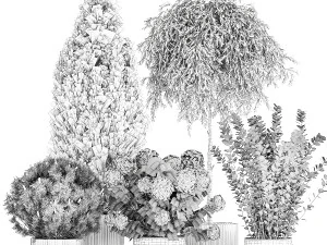 Beautiful plants in pots for indoors and outdoors 1298 3D Model