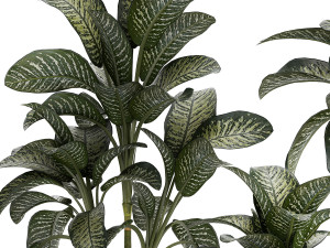 Beautiful plant Dieffenbachia bush in a pot 1301 Modelo 3D