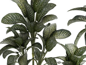 Beautiful plant Dieffenbachia bush in a pot 1301 3D Model