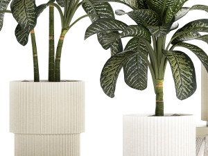 Beautiful plant Dieffenbachia bush in a pot 1301 Modelo 3D