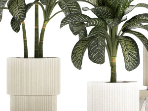 Beautiful plant Dieffenbachia bush in a pot 1301 3D Model
