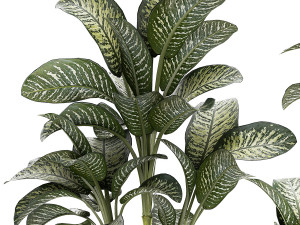 Beautiful plant Dieffenbachia bush in a pot 1301 Modelo 3D