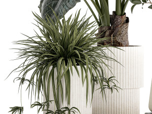 Beautiful plants Alocasia and Dracaena bush in a pot 1302 3D 모델