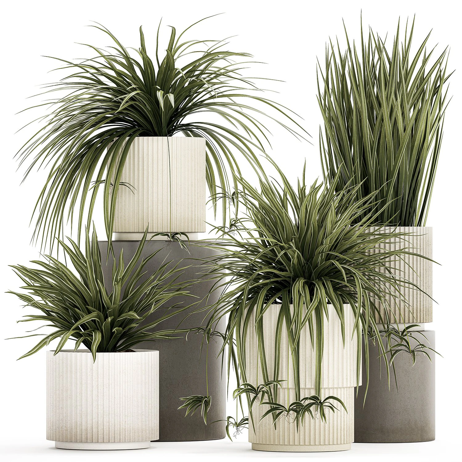 Set of beautiful plants Chlorophytum bush in a pot 1302 3D Model .c4d .max .obj .3ds .fbx .stl .blend 