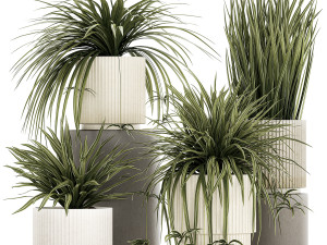 Set of beautiful plants Chlorophytum bush in a pot 1302 Modelo 3D