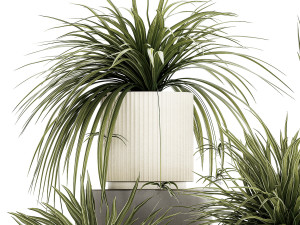 Set of beautiful plants Chlorophytum bush in a pot 1302 Modèle 3D