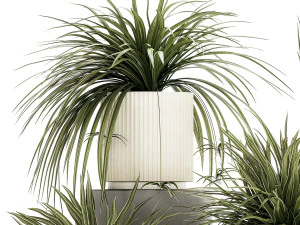 Set of beautiful plants Chlorophytum bush in a pot 1302 3D Model