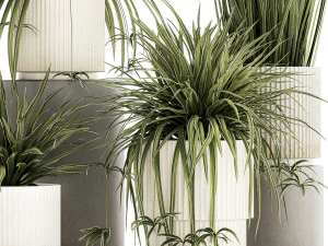 Set of beautiful plants Chlorophytum bush in a pot 1302 3D Model