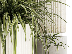 Set of beautiful plants Chlorophytum bush in a pot 1302 Modèle 3D