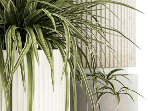Set of beautiful plants Chlorophytum bush in a pot 1302 3D Model