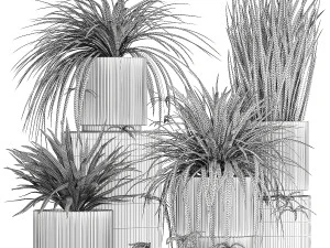 Set of beautiful plants Chlorophytum bush in a pot 1302 3D Model