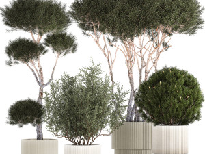 Beautiful pine and spruce topiary trees in a pot 1304 Modelo 3D