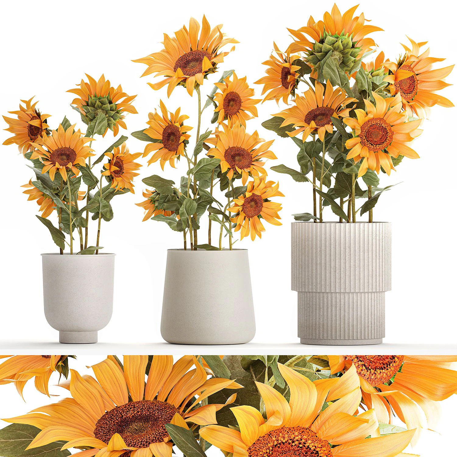 Beautiful Plant Bushes Sunflowers In A Pot 1305 3D Model .c4d .max .obj .3ds .fbx .stl .blend 