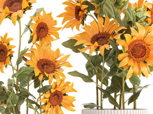 Beautiful Plant Bushes Sunflowers In A Pot 1305 Modelo 3D