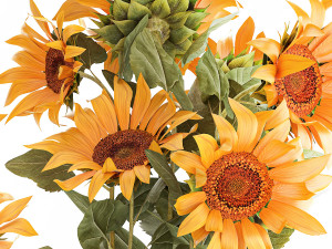Beautiful Plant Bushes Sunflowers In A Pot 1305 Modelo 3D