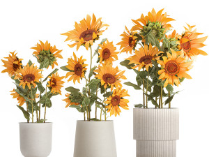 Beautiful Plant Bushes Sunflowers In A Pot 1305 Modelo 3D
